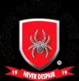 维斯十一人